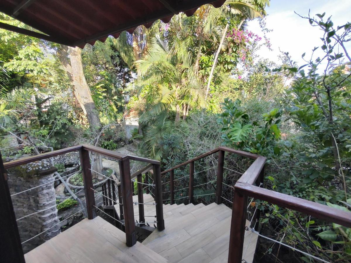 Готель La Joyita Cuernavaca (Adults Only) Екстер'єр фото